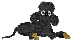 Arrow's Adobe Bricks — “Mud”