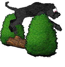 Vanilla's Inner Pinkness — “Grapefruit”