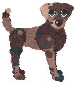 Eli's Priority Shipping — “Giftwrap”