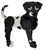 Sz/Eli's One for Sorrow — “Magpie”