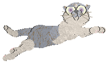 FDL/Calluna's Provence Lavender — “Movenpick”