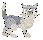 FDL/Calluna's Provence Lavender — “Movenpick”