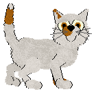 Cargo/Calluna's Orange Dreamsicle — “Tangelo”