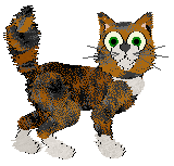 Profile image of Tangled's The Space Between