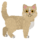 Profile image of Capriole's Marzipan