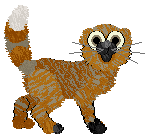 SeaGlass's Supposedly a Cat — “Zoong”