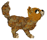 Profile image of SeaGlass's A Matter of Perspective