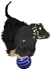 Cirrutopia's North Wind — “Shamal”