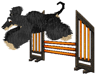 Cirrutopia's North Wind — “Shamal”