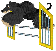 Cirrutopia's North Wind — “Shamal”