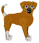 Blep's Orange Flavor at NMDK — “Dreamsicle”