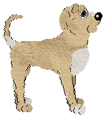 Blep's Refracted Light of NMDK — “Prism”