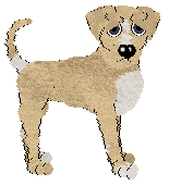 Profile image of Blep's Refracted Light of NMDK