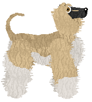 Cirrutopia's Böhm Style — “Böhm”
