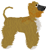 Cirrutopia's Flamboyant Spark — “Nash”