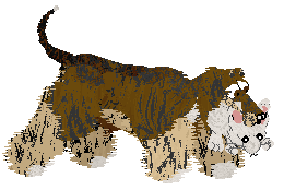 Cirrutopia's Rocky Road To Dublin — “Dublin”