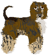 Cirrutopia's Rocky Road To Dublin — “Dublin”