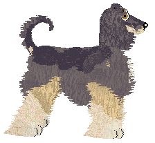 Cirrutopia's Two Olives — “Olivio”