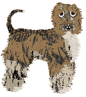 Profile image of Cirrutopia's Double Decker