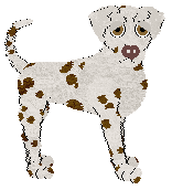 Profile image of King's Fifteen Percent or More at SzK