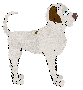 Poppyhill/Eli's Blue Seas and Laraha Oranges — “Curacao”