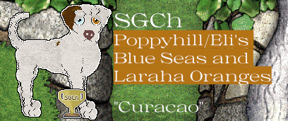 Profile image of Poppyhill/Eli's Blue Seas and Laraha Oranges