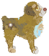 Poppyhill Catch A Wave — “Pallarenda”