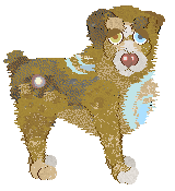 Poppyhill Catch A Wave — “Pallarenda”