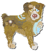 Profile image of Poppyhill Catch A Wave