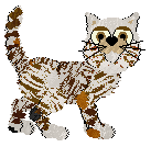 PH's Starlight Starbright — “Star”