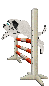 DARKNESS Live in Peace — “Siris”