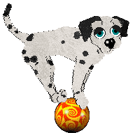 DARKNESS Live in Peace — “Siris”