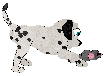 DARKNESS Live in Peace — “Siris”