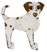 DARKNESS Sound of the Sky — “Umber”