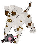 DARKNESS Spark in a Gem — “Ruby”