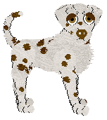 Profile image of DARKNESS Spark in a Gem