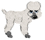 StHM's Silver Lining — “Cloud”