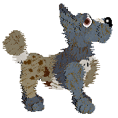 Funfetti Rolling The Dice — “Pointelle”