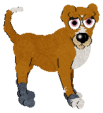 Cargo/PH's Octopus's Garden — “Ringo”