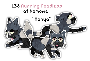 Profile image of L38 Running Roadless at Kamome