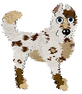 Wild Road's Zoomie Zoomie Zoom — “Zoom”