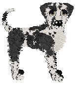 Profile image of Zan's Small Waves at Wild Road