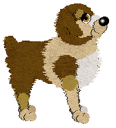 Wild Road's Showgirl — “Marlee”