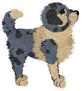 Profile image of Wild Road's Onyx Dust