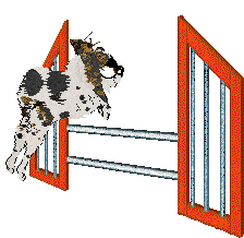 Xoops Happy And You Know It at Cirrutopia — “Happy”