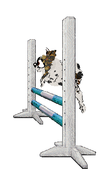 Xoops Happy And You Know It at Cirrutopia — “Happy”