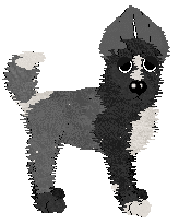 Krunchez' Midnight Tailcoat — “Tuxley”