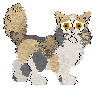 Profile image of Folklore Big and Fluffy