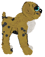 EC's Balki Bartokomous — “Bronson”