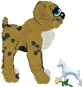 Profile image of EC's Balki Bartokomous